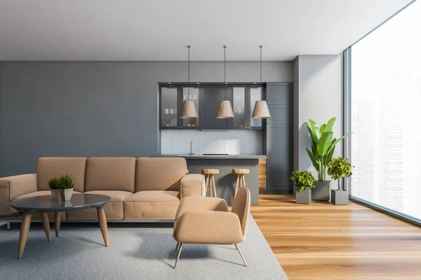 Vooraanzicht Van Stijlvolle Woonkamer Met Grijze Muren Beige Bank Fauteuils — Stockfoto