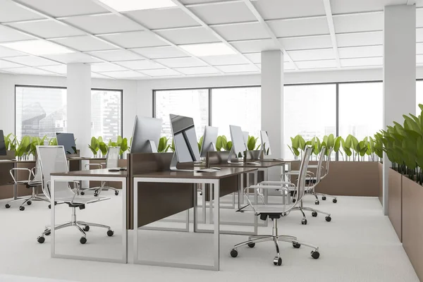 Side View Industrial Style Open Space Office White Walls Carpeted — Stock Photo, Image