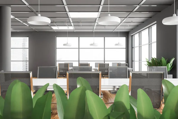 Big potted plants in interior of stylish meeting room with gray walls, wooden floor, two conference tables with metal chairs and blurry cityscape. 3d rendering