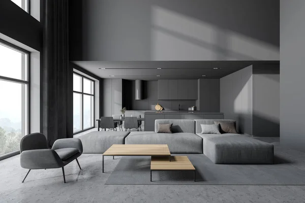 Interior Stylish Living Room Gray Walls Concrete Floor Gray Armchair — Stock Photo, Image
