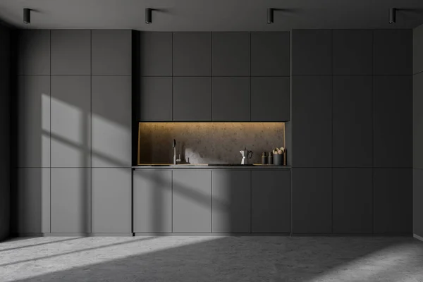 Interior of minimalistic kitchen with gray walls, concrete floor and gray cabinets with built in sink and cooker. 3d rendering