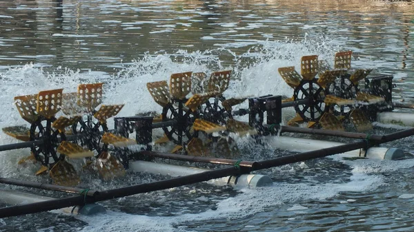 Balık havuzunda waterwheel