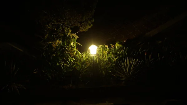 Luzes Jardim Noite — Fotografia de Stock