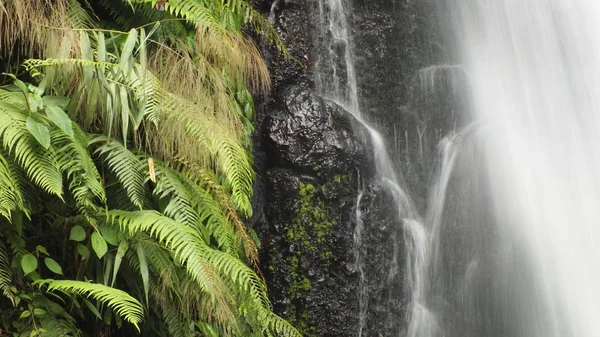 Rocas Río — Foto de Stock