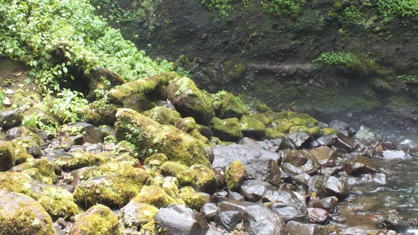 Rocas Río —  Fotos de Stock