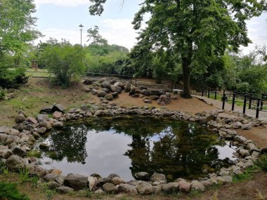 Parkta küçük göl.