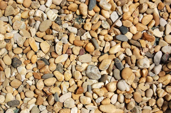 棕色和浅色鹅卵石 — 图库照片