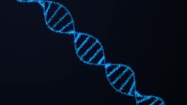 Animiertes Hologramm blau glühender rotierender DNA-Doppelhelix auf schwarzem Hintergrund. — Stockvideo