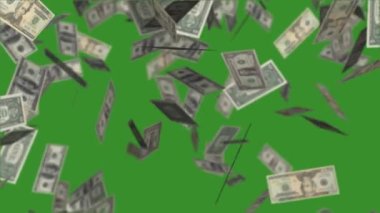 Yeşil arka plana düşen dolar banknotları, para yağmurlu video animasyonları.