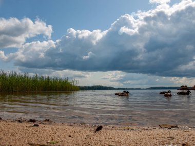 Yansımaları ve bazı ördekler, Letonya ile yaz güneşli bir günde göl üzerinde güzel bulutlar