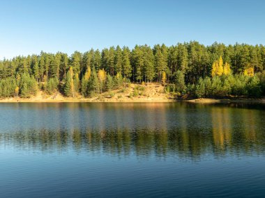 sakin suda yansımaları ile Sonbahar Ormanı
