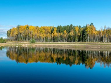 sakin suda yansımaları ile Sonbahar Ormanı
