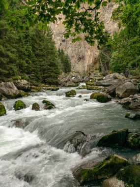 dağlarda küçük nehir, pürüzsüz su seviyesi ve rüya gibi etkisi için yavaş deklanşör hızı, Alpler