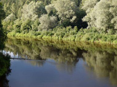 su da ağaç yansımaları, güzel renkler, nehir Gauja, Erglu kayalıklar, Letonya