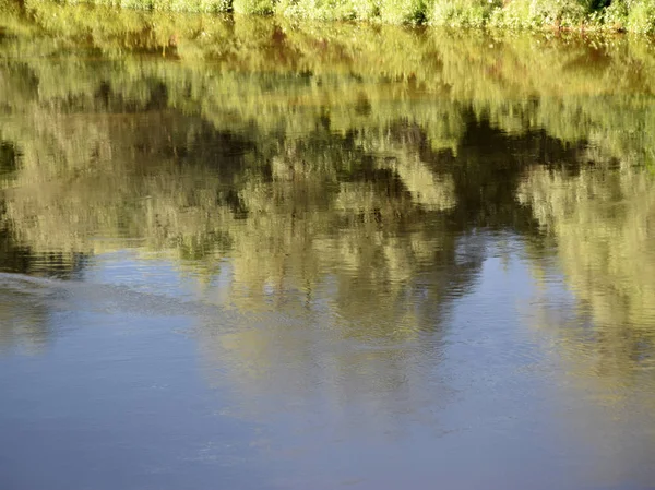 Отражения Деревьев Воде Красивые Цвета Река Гауя Скалы Эрглу Латвия — стоковое фото