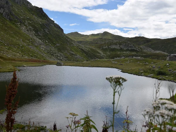 Pequeno Lago Montanha Verde Plantada Paisagem Montanha Montanhas Rochosas Muitas — Fotografia de Stock