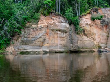 Akşam ışığında kumtaşı Kayalıkları, uçurum ve ağaç yansımaları, ergu Kayalıkları, Letonya