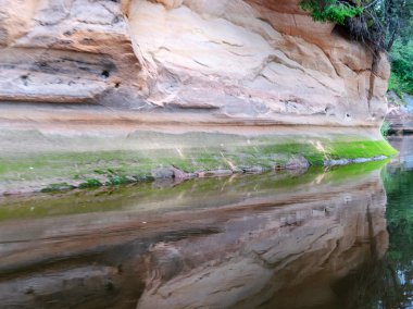 Akşam ışığında kumtaşı Kayalıkları, uçurum ve ağaç yansımaları, ergu Kayalıkları, Letonya