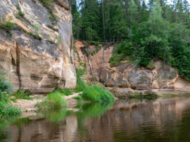 Akşam ışığında kumtaşı Kayalıkları, uçurum ve ağaç yansımaları, ergu Kayalıkları, Letonya