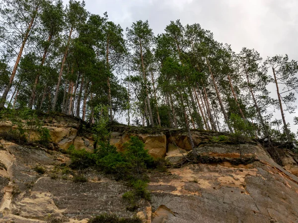 Klify Piaskowca Świetle Wieczornym Klify Odbicia Drzew Ergu Cliffs Łotwa — Zdjęcie stockowe