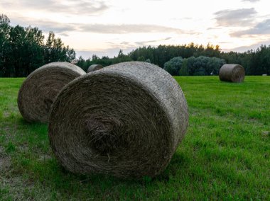 saman balonları ile alan görünümü, akşam ışığı, Letonya