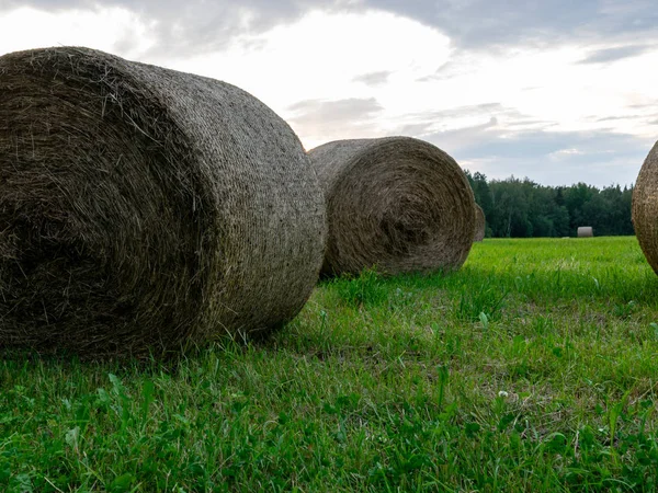 干し草のベール イブニングライト ラトビアとフィールドビュー — ストック写真