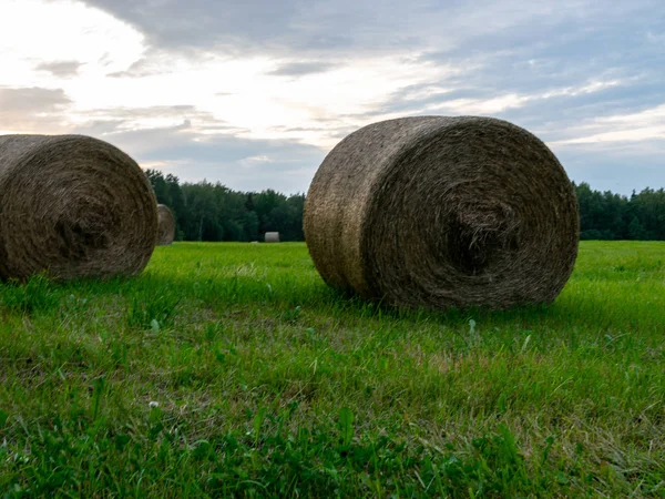 干し草のベール イブニングライト ラトビアとフィールドビュー — ストック写真