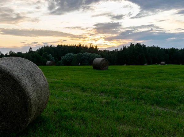 Field View Hay Bales Evening Light Latvia — Stock Photo, Image