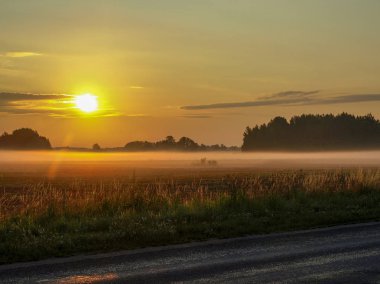 Güneşin doğuşunda ağaçlarla çevrili sisli çayır güzel güneşli yaz Panoraması