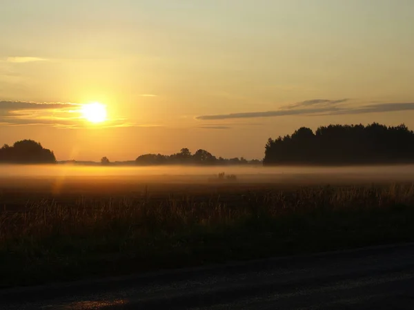 stock image Beautiful sunny summer panorama of foggy meadow surrounded by trees at sunrise