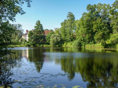 Cesvaine taş kale, güzel yaz günü, kale kule, pencere detayları, çatı, Letonya
