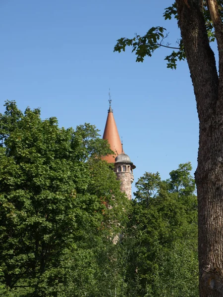 Castelo Pedra Cesvaine Belo Dia Verão Torre Castelo Detalhes Janela — Fotografia de Stock