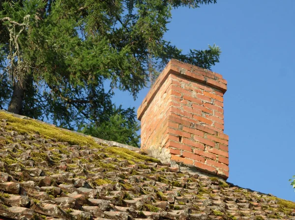 old tile roof, overgrown with moss, very old wooden house