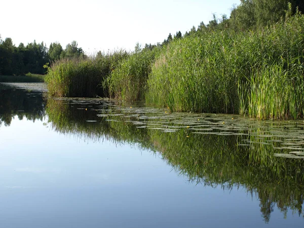 beautiful summer landscape with calm lake, reflections of different trees, blue sky, calm water, Latvia