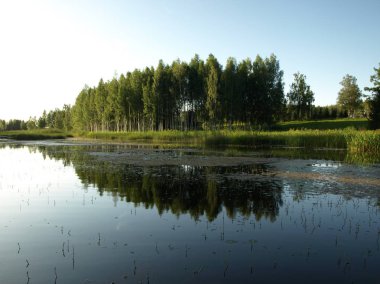 sakin göl, farklı ağaçlar, mavi gökyüzü, sakin su, Letonya yansımaları ile güzel yaz manzara