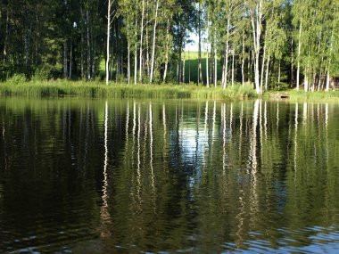 sakin göl, farklı ağaçlar, mavi gökyüzü, sakin su, Letonya yansımaları ile güzel yaz manzara