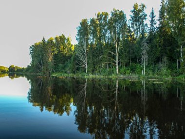 sakin göl, farklı ağaçlar, mavi gökyüzü, sakin su, Letonya yansımaları ile güzel yaz manzara
