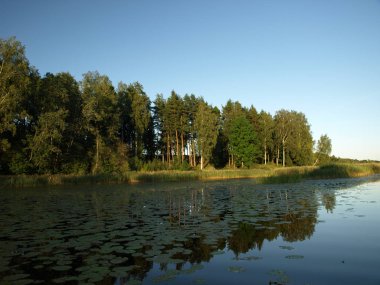 sakin göl, farklı ağaçlar, mavi gökyüzü, sakin su, Letonya yansımaları ile güzel yaz manzara