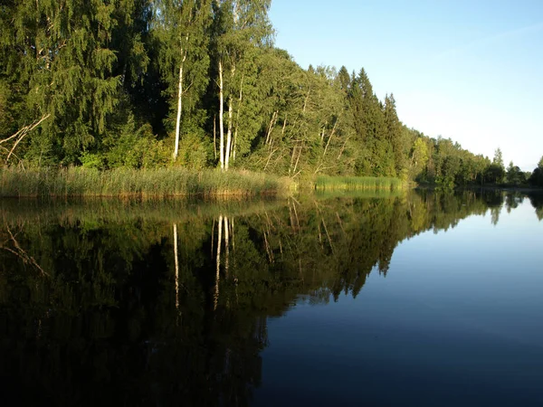 beautiful summer landscape with calm lake, reflections of different trees, blue sky, calm water, Latvia