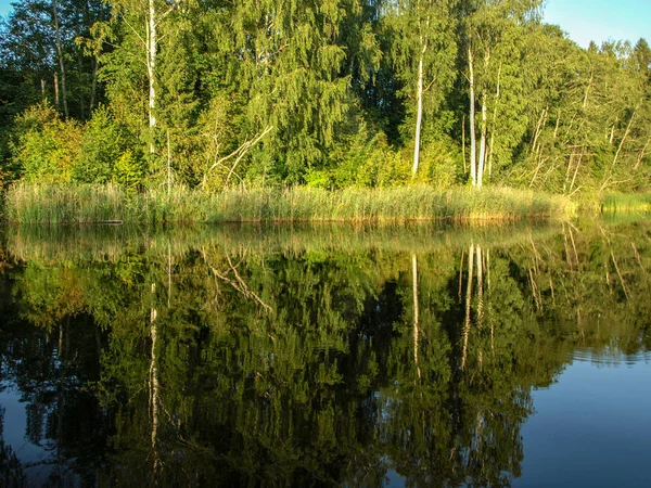 beautiful summer landscape with calm lake, reflections of different trees, blue sky, calm water, Latvia