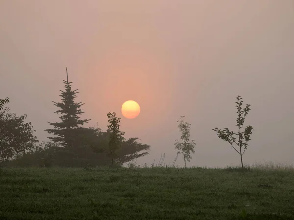 Mystical Sun Morning Light Meadow Latvia — Stock Photo, Image