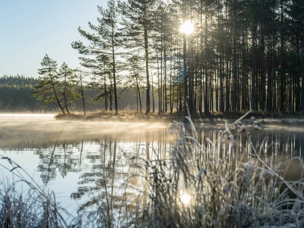 Early Morning Frost Small Bog Lake Fog Calm Water — Stock Photo, Image