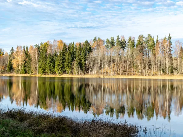 Höst Skog Med Reflektioner Lugnt Vatten — Stockfoto