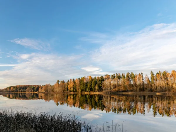 Höst Skog Med Reflektioner Lugnt Vatten — Stockfoto