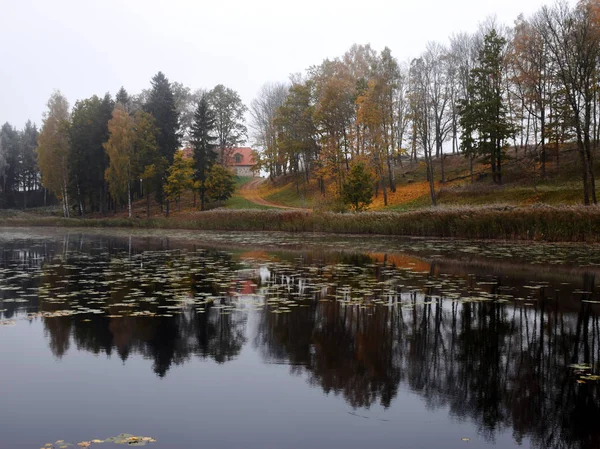 Осенний Лес Отражениями Спокойной Воде — стоковое фото