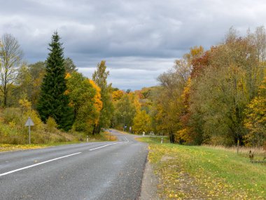kenarlarında güzel renkli ağaçlar ile yol, letonya
