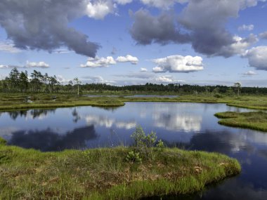 bulutlar ile bataklık renkli görünümü, letonya
