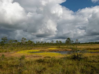 gölde yansıma bulutları ile bataklık renkli görünümü