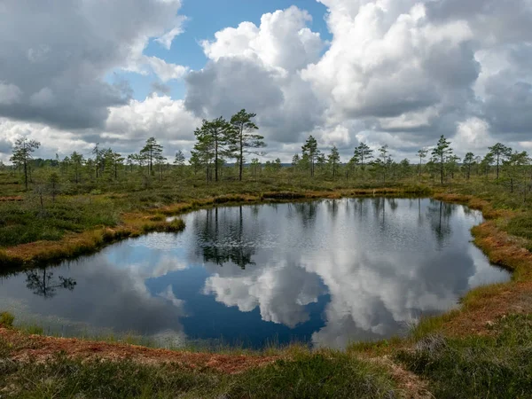 gölde yansıma bulutları ile bataklık renkli görünümü