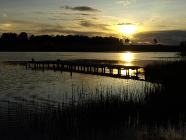 güzel yansımaları ile küçük bir orman nehri renkli sonbahar ağaçları